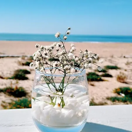 Flor Do Mar Oeiras